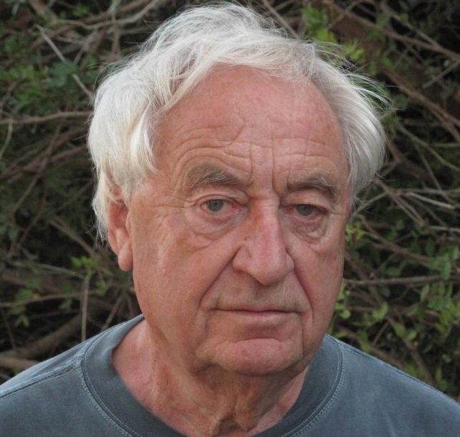 Portret: Cees Nooteboom