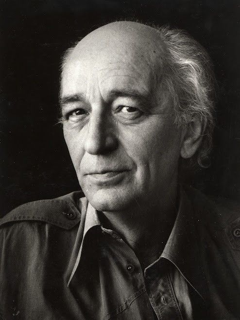 Portret: Radomir Konstantinović