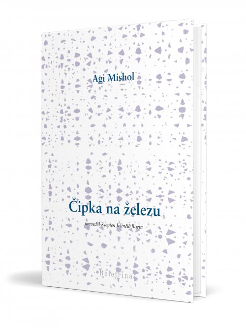 Naslovnica: Čipka na železu