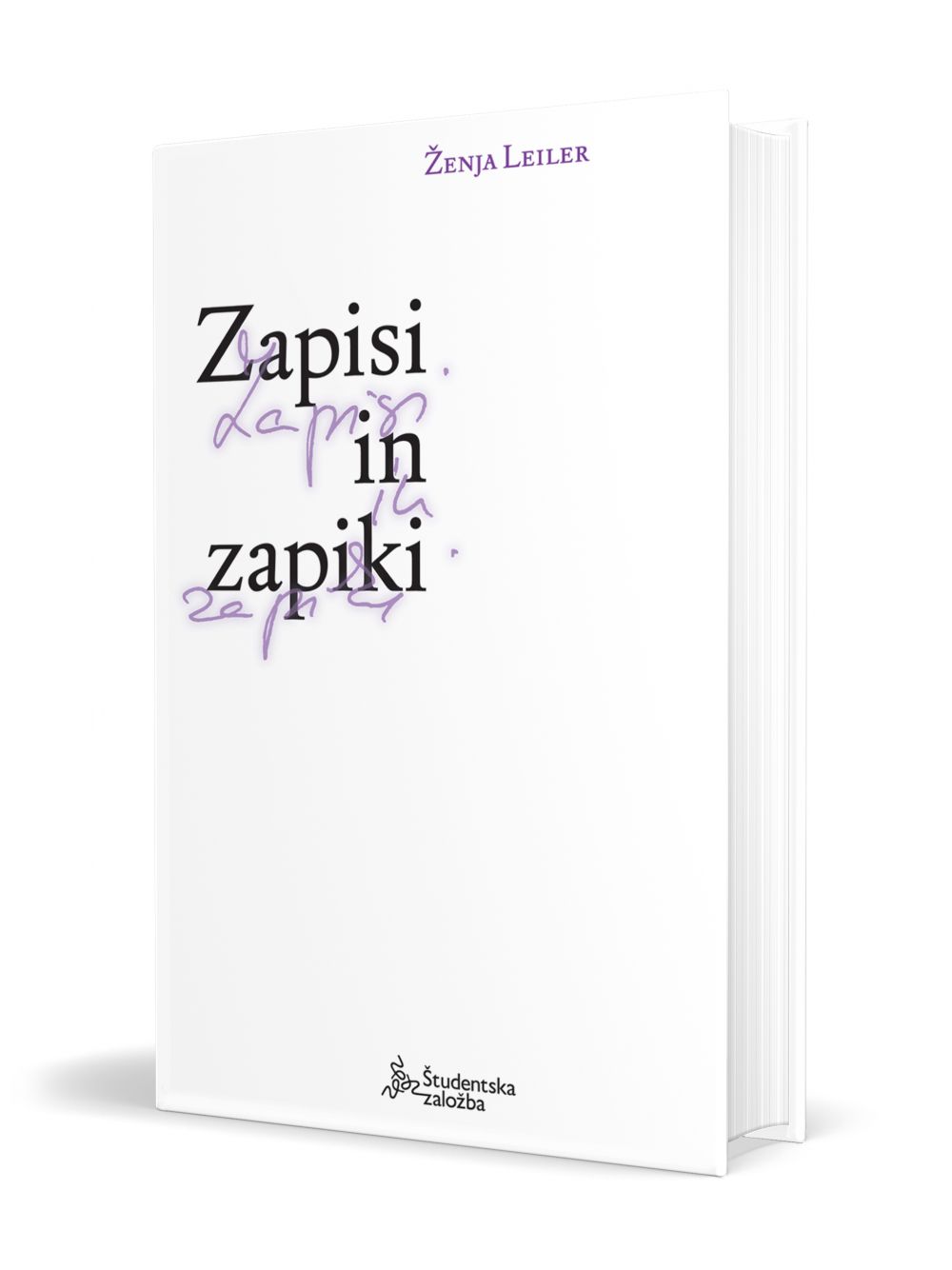 Zapisi in zapiki