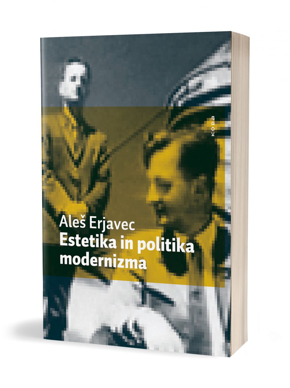 Estetika in politika modernizma