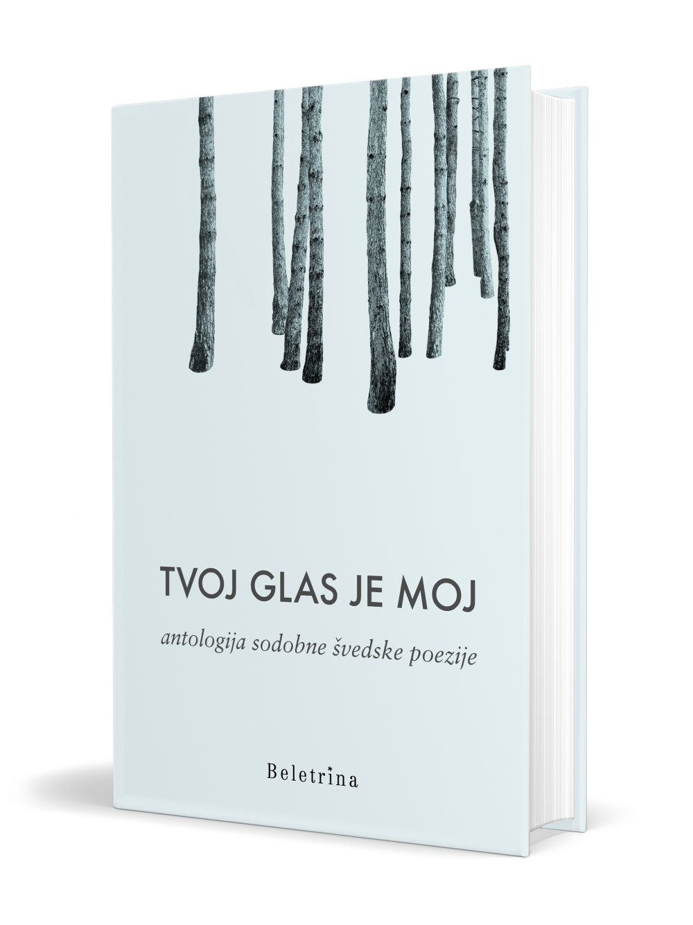 Tvoj glas je moj