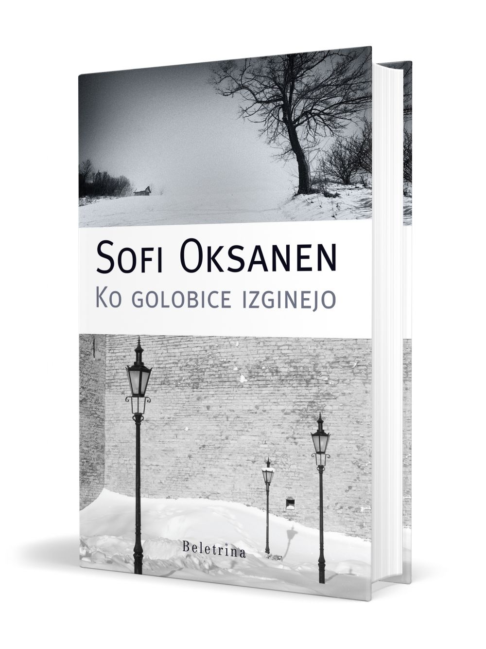 Ko golobice izginejo