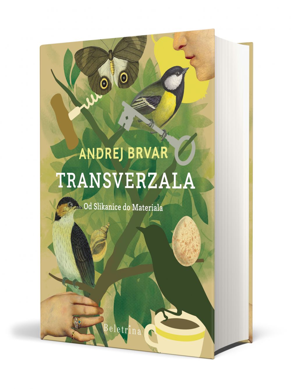 Transverzala