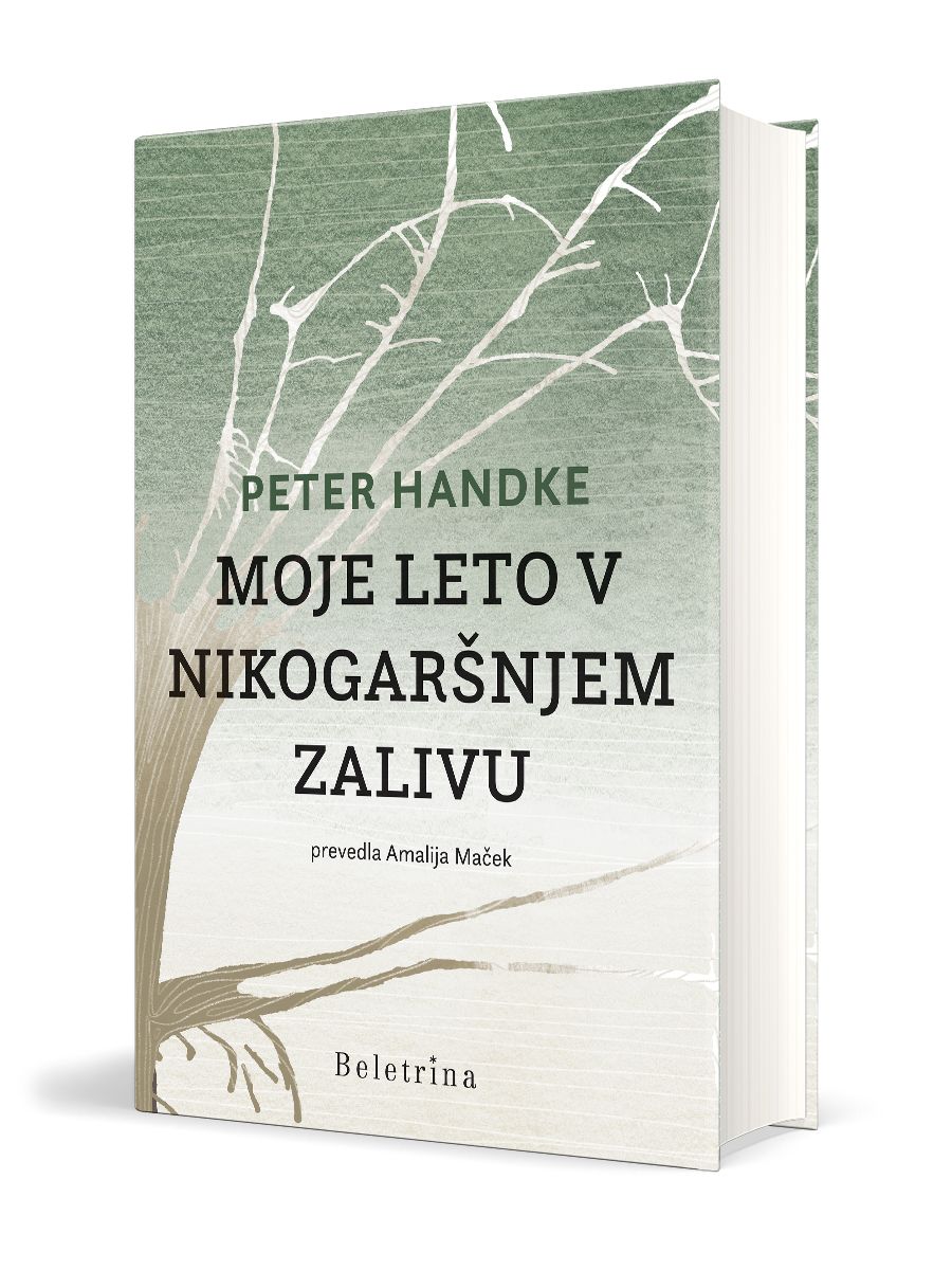 Moje leto v Nikogaršnjem zalivu
