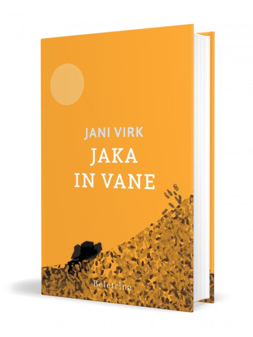 Naslovnica: Jaka in Vane, zgodba iz osemdesetih