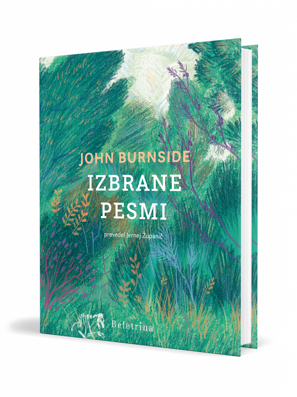 Izbrane pesmi