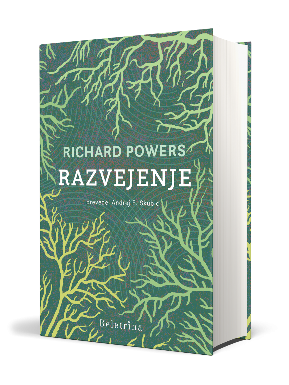 Razvejenje