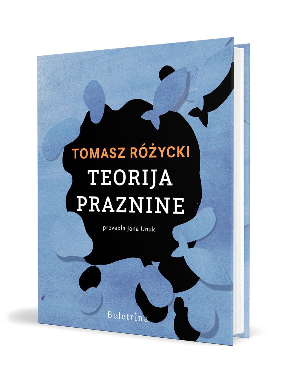 Teorija praznine