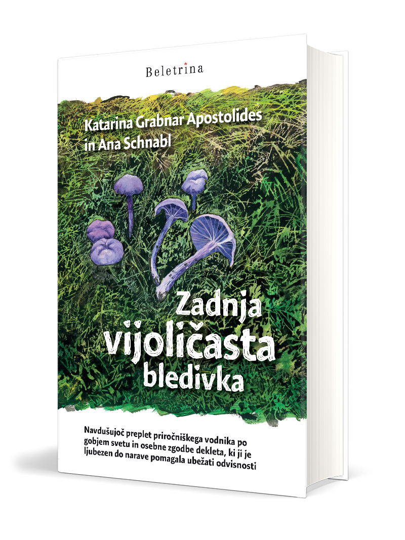 Zadnja vijoličasta bledivka