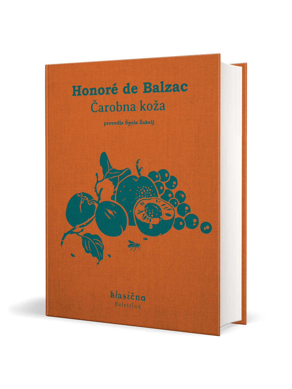 Čarobna koža