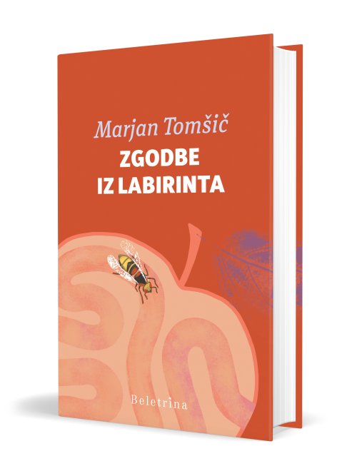 Naslovnica: Zgodbe iz labirinta