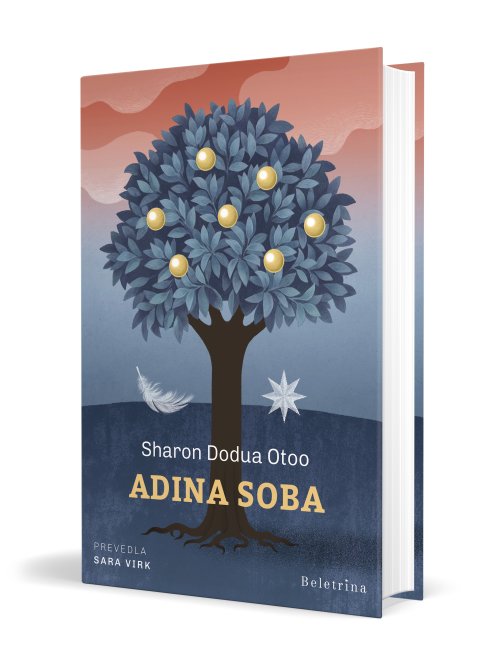 Naslovnica: Adina soba