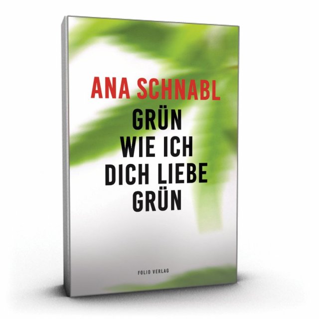 Naslovnica: Odlična recenzija zbirke kratkih zgodb Ane Schnabl